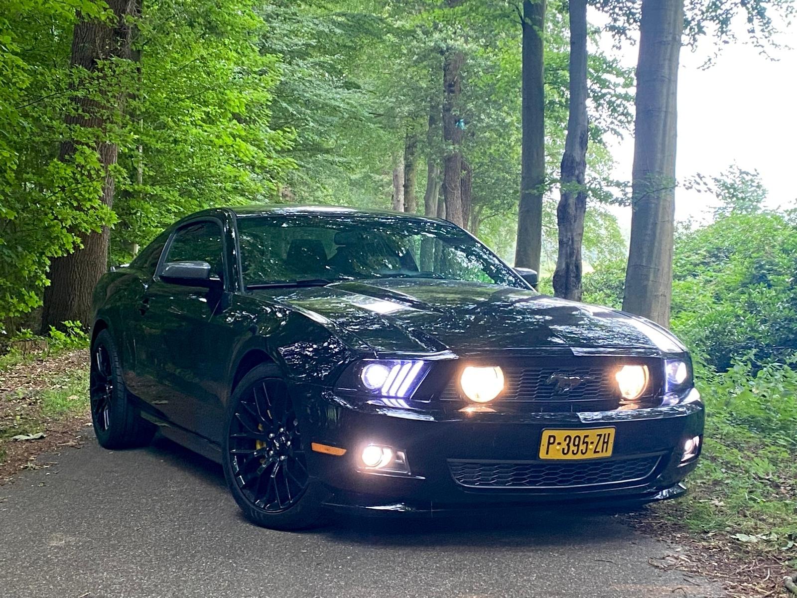 FORD MUSTANG FASTBACK V62