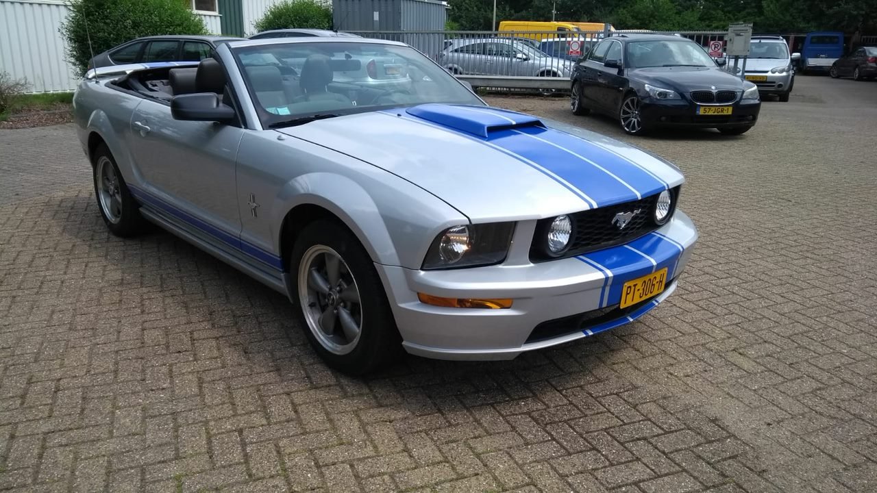 mustang2